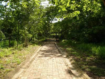 ميراندا Hotel Fazenda Do Bertione المظهر الخارجي الصورة